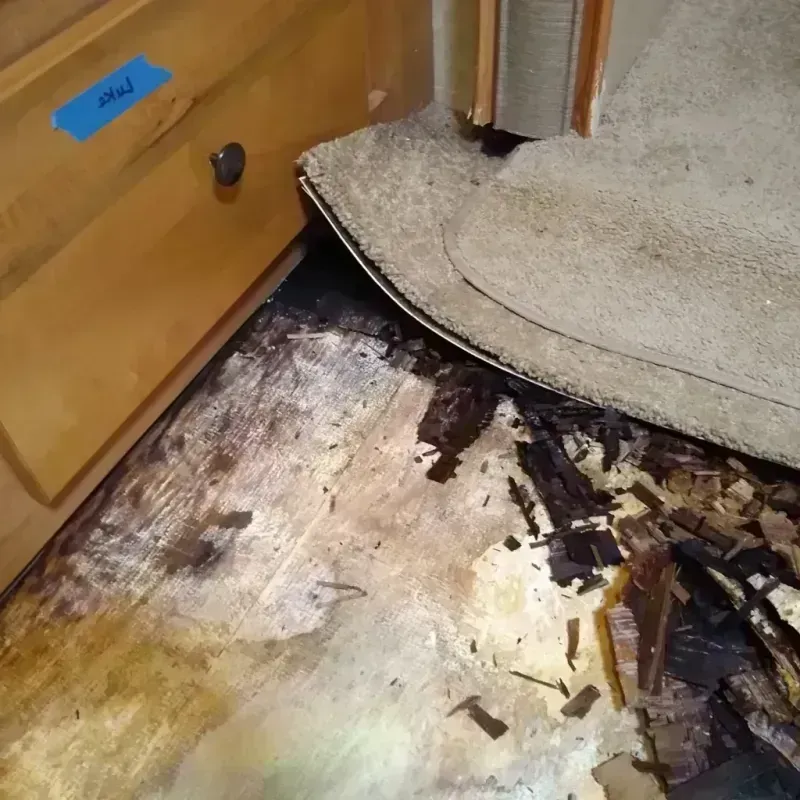 Best Wood Floor Water Damage Service in Putnam County, TN